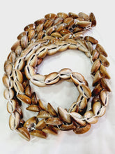 Carregar imagem no visualizador da galeria, Brajá de Buzio Marron Grande
