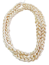 Carregar imagem no visualizador da galeria, Brajá de Buzio Branco Grande
